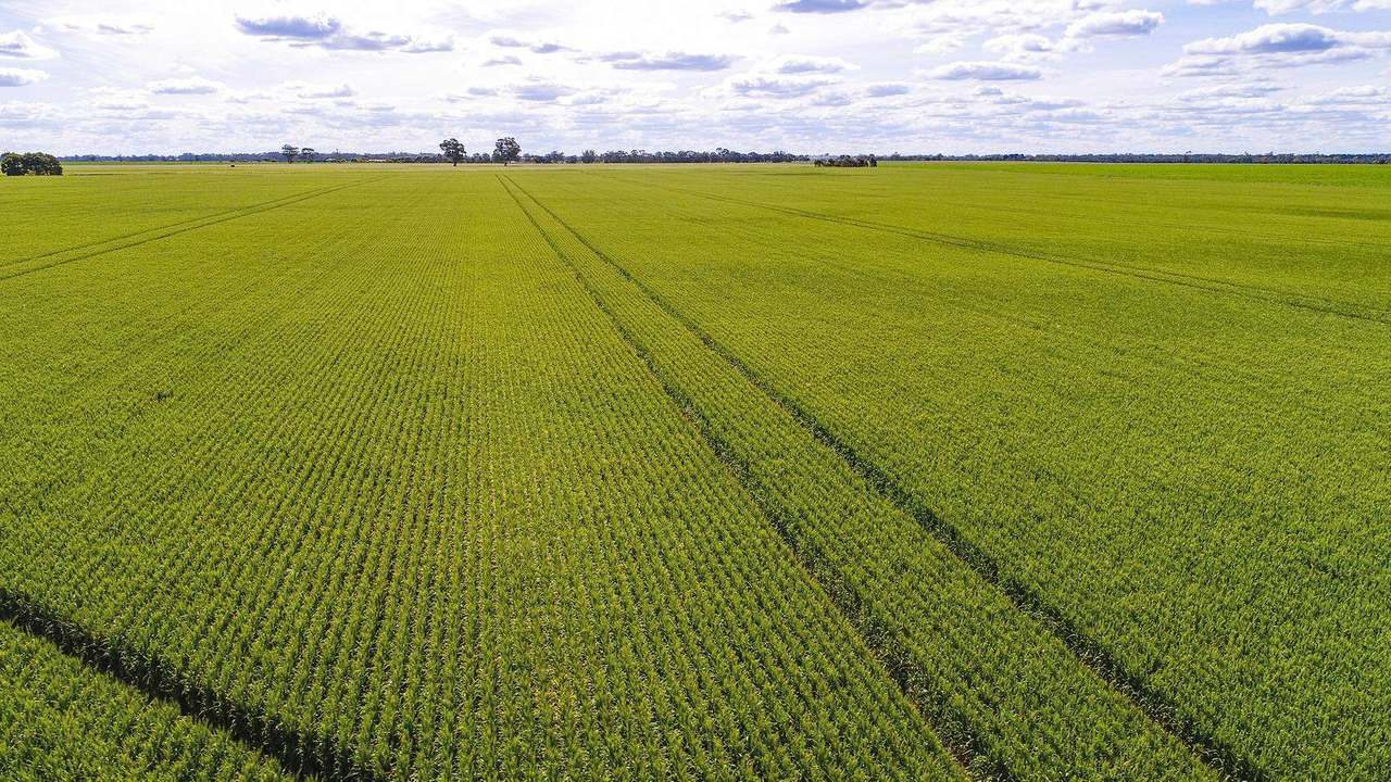 Sec 152 Rowney Road , "Mawson" Bordertown Sold by Farmbuy.com - image 21