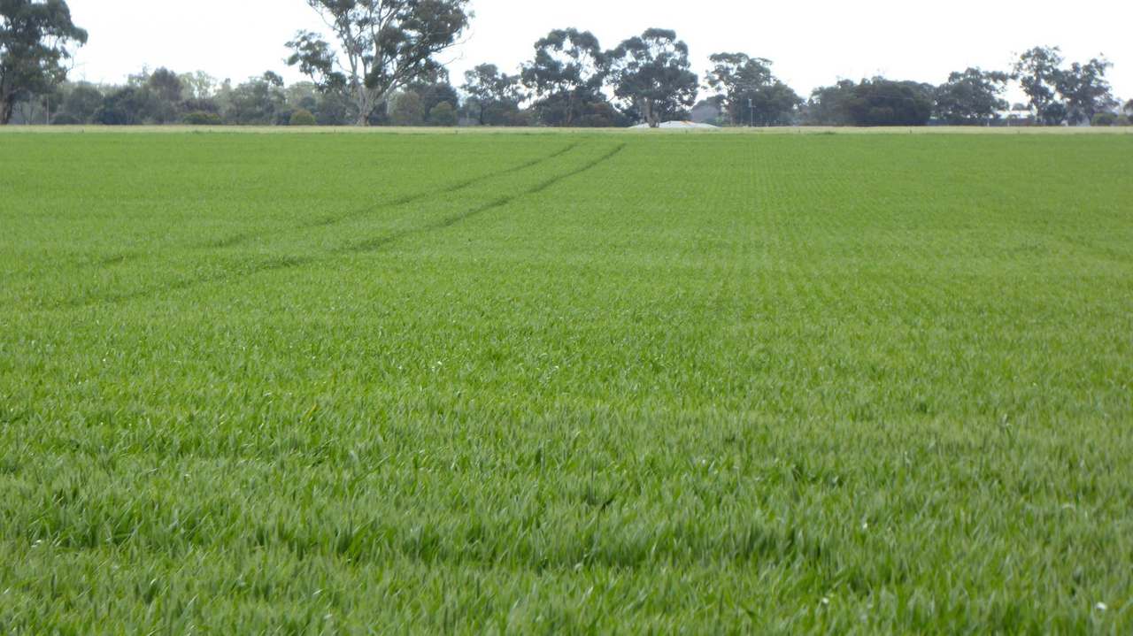 Sec 152 Rowney Road , "Mawson" Bordertown Sold by Farmbuy.com - image 24