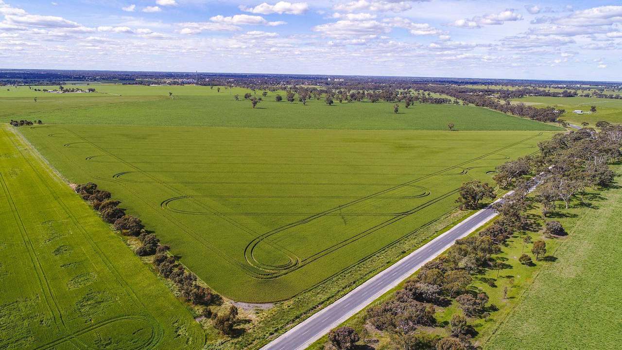 Sec 152 Rowney Road , "Mawson" Bordertown Sold by Farmbuy.com - image 13