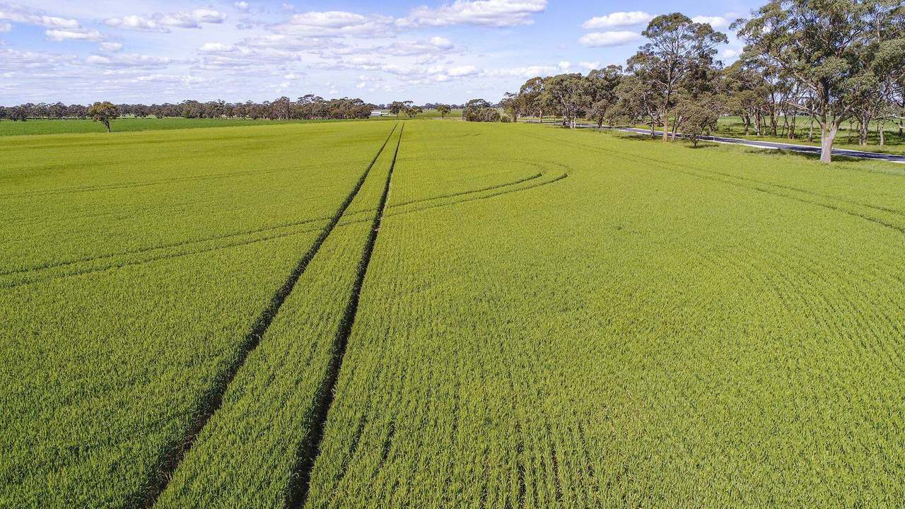 Sec 152 Rowney Road , "Mawson" Bordertown Sold by Farmbuy.com - image 20