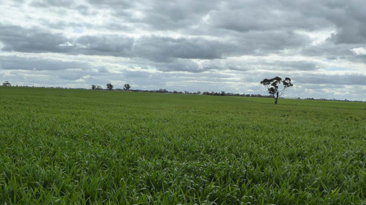 Sec 152 Rowney Road , "Mawson" Bordertown Sold by Farmbuy.com - image 23