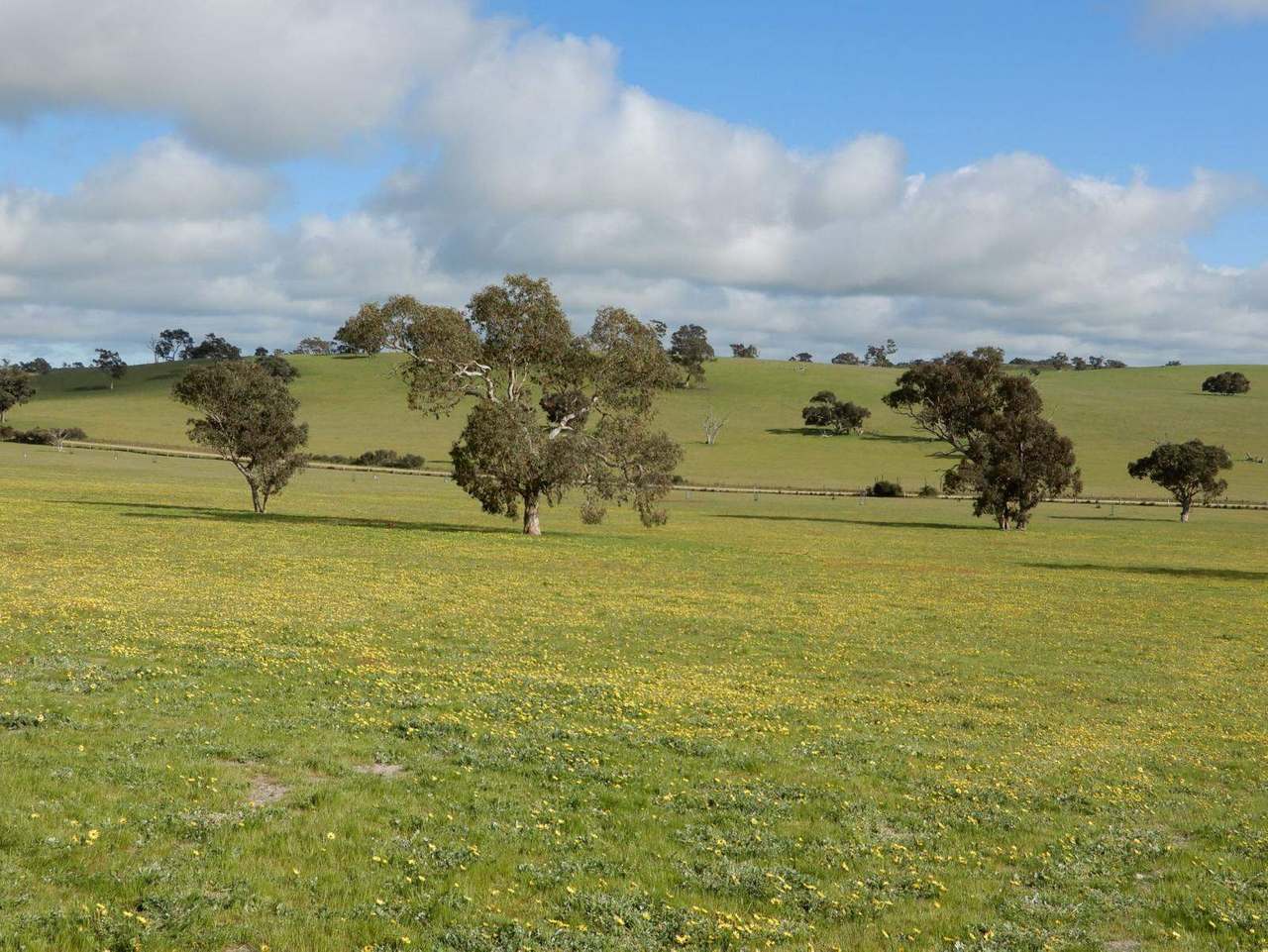 260 Gerritsens Road, "Karamara Park West" Naracoorte Sold by Farmbuy.com - image 3