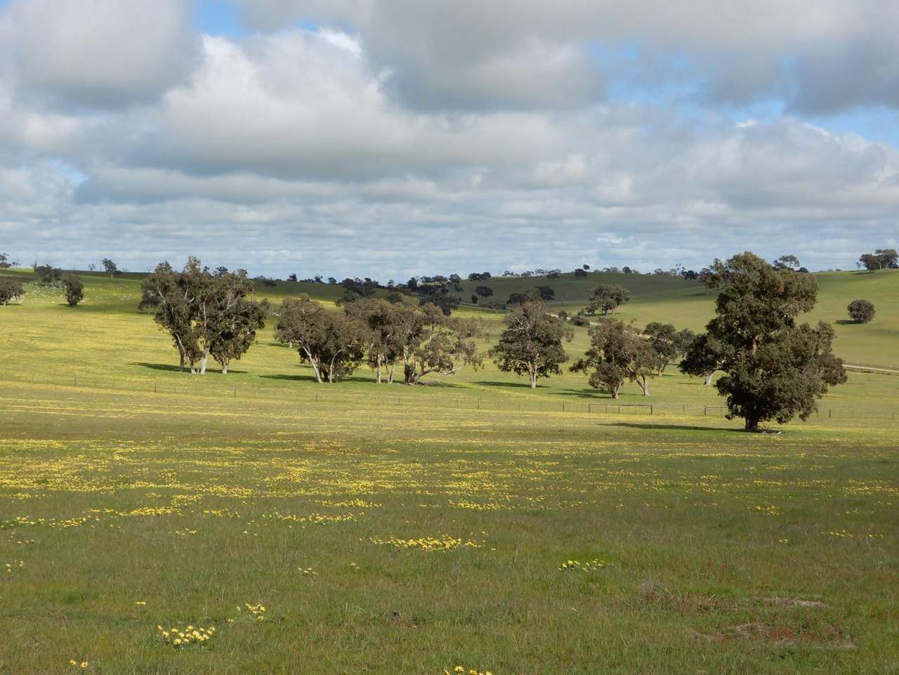 260 Gerritsens Road, "Karamara Park West" Naracoorte Sold by Farmbuy.com - image 8