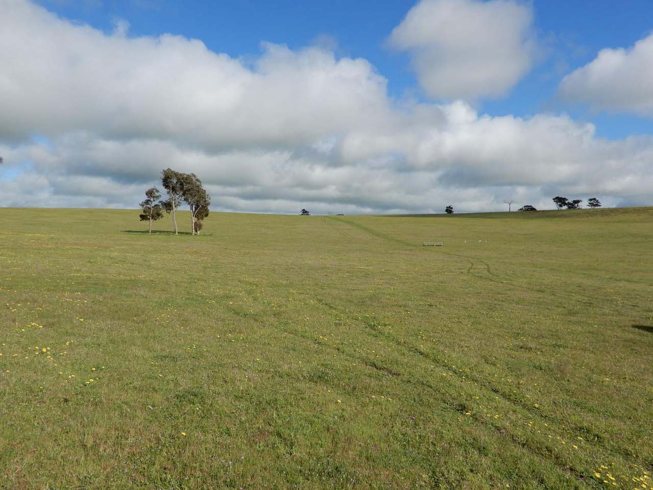 260 Gerritsens Road, "Karamara Park West" Naracoorte Sold by Farmbuy.com - image 4