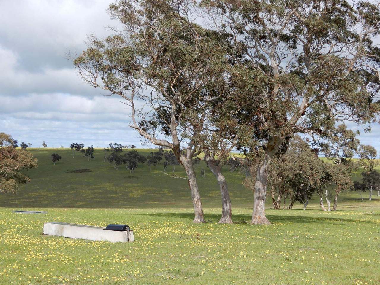 260 Gerritsens Road, "Karamara Park West" Naracoorte Sold by Farmbuy.com - image 6