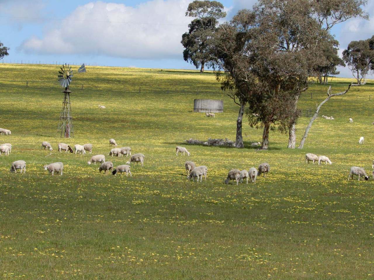 260 Gerritsens Road, "Karamara Park West" Naracoorte Sold by Farmbuy.com - image 11