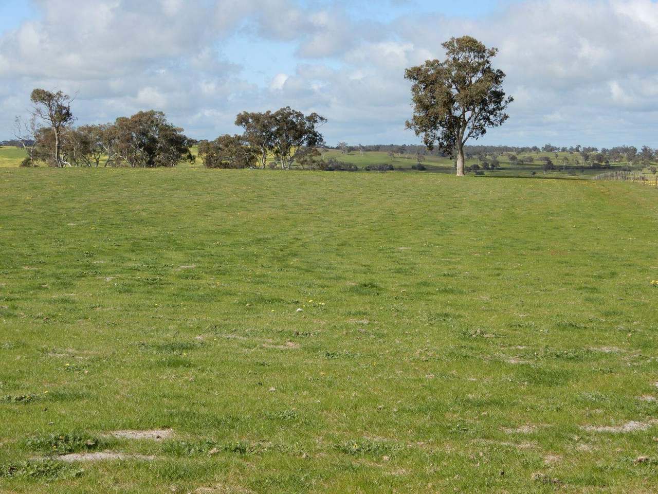 260 Gerritsens Road, "Karamara Park West" Naracoorte Sold by Farmbuy.com - image 9