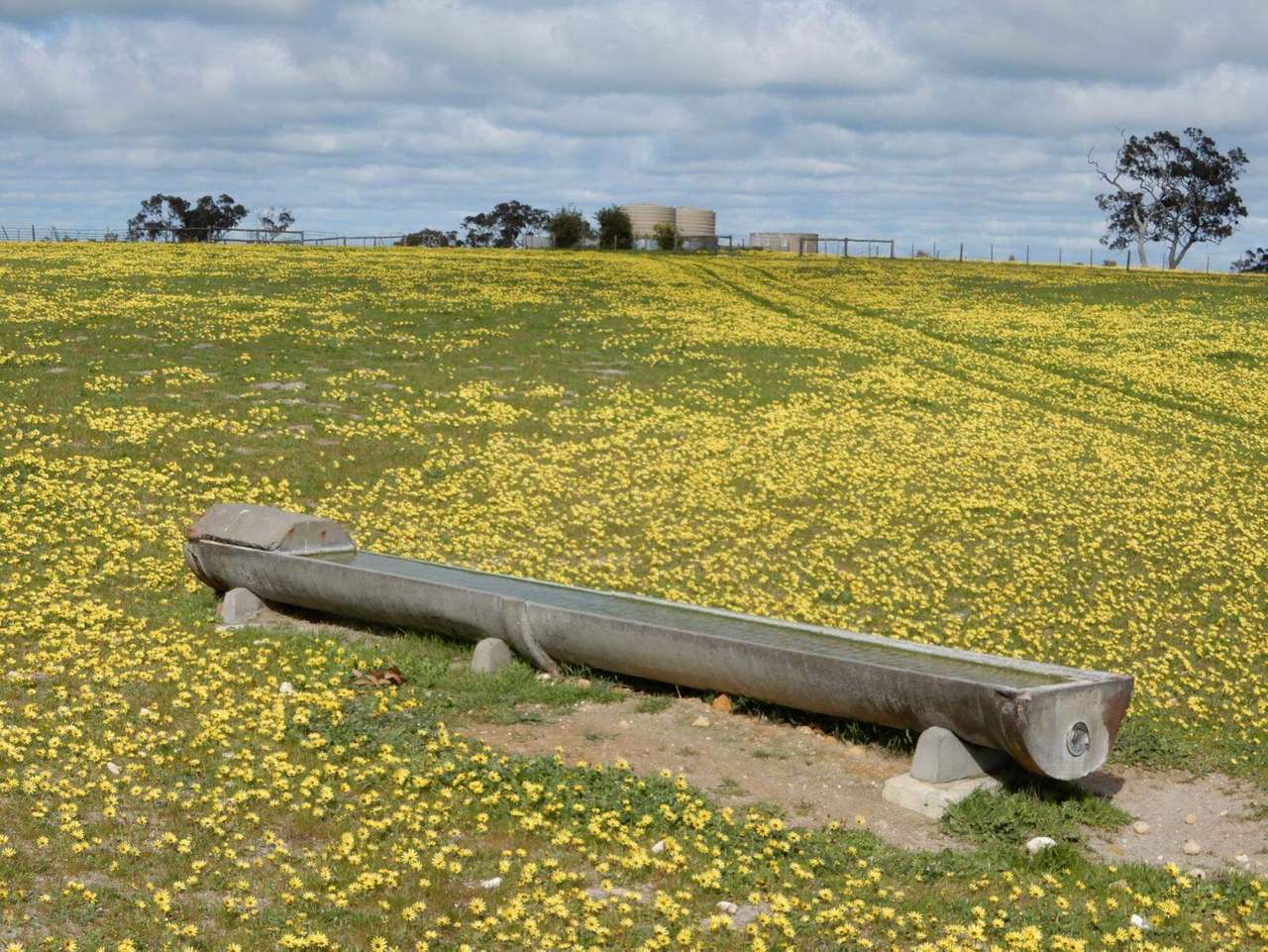 260 Gerritsens Road, "Karamara Park West" Naracoorte Sold by Farmbuy.com - image 10