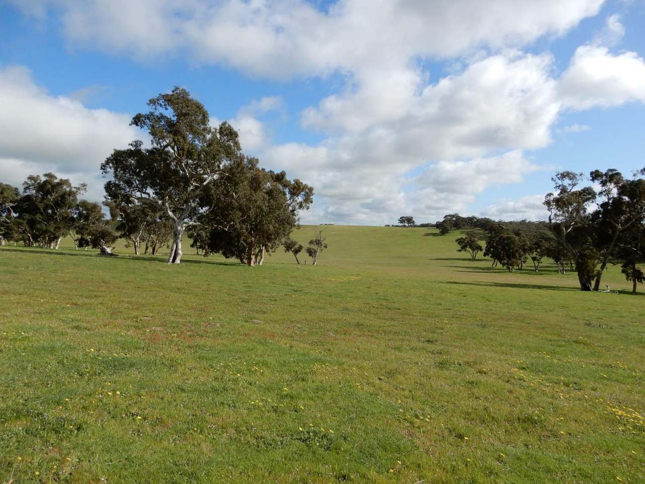 260 Gerritsens Road, "Karamara Park West" Naracoorte Sold by Farmbuy.com - image 5