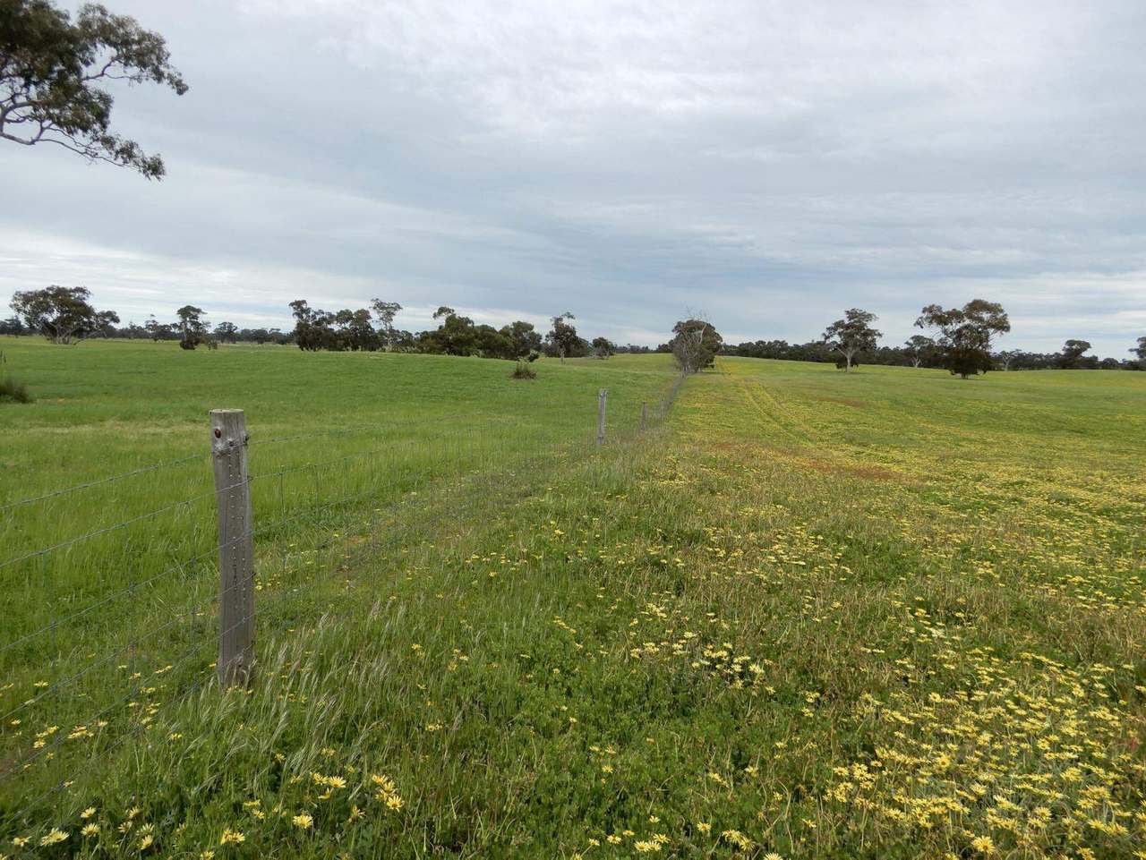 Range Road, "The Prarrie" Sec 317 & 318 Naracoorte (Cadgee) Sold by Farmbuy.com - image 21