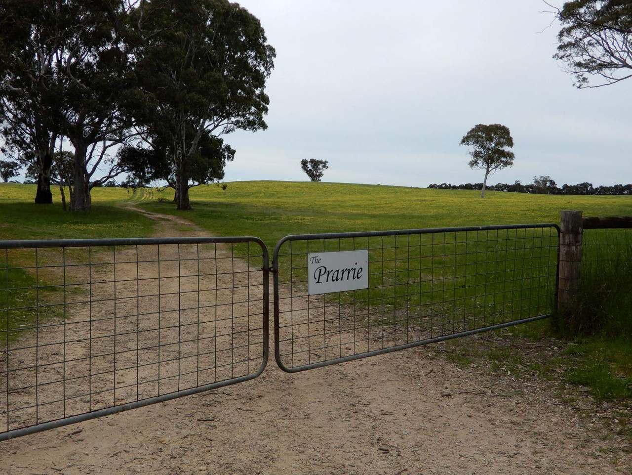 Range Road, "The Prarrie" Sec 317 & 318 Naracoorte (Cadgee) Sold by Farmbuy.com - image 23