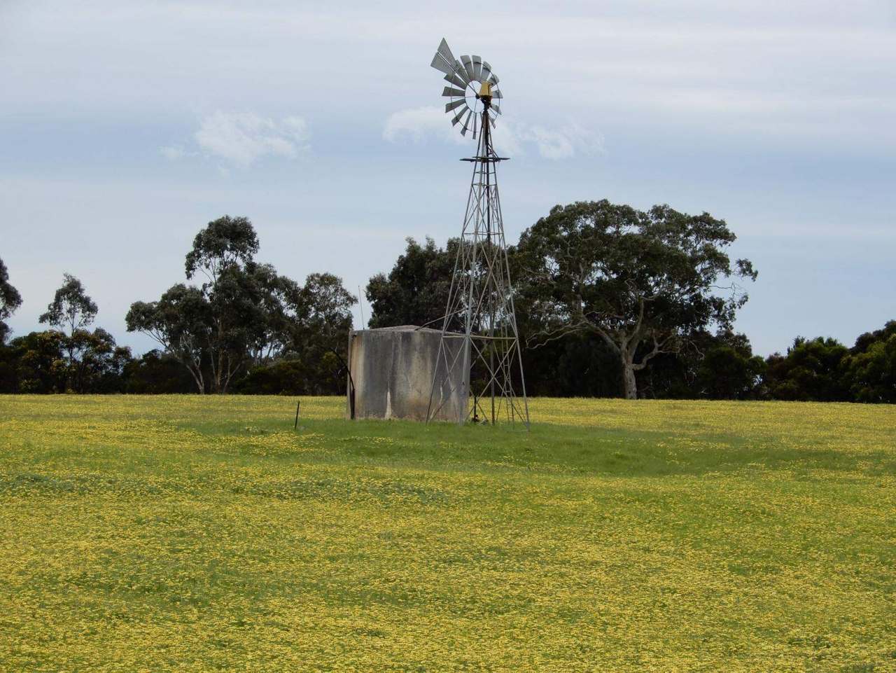 Range Road, "The Prarrie" Sec 317 & 318 Naracoorte (Cadgee) Sold by Farmbuy.com - image 22