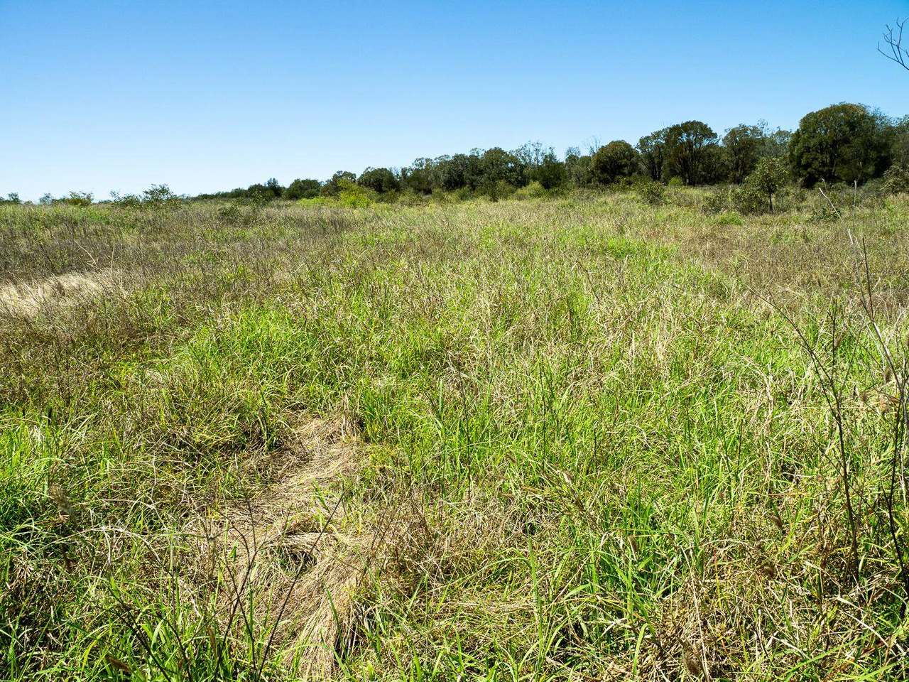 Bauhinia Downs Sold by Farmbuy.com - image 6