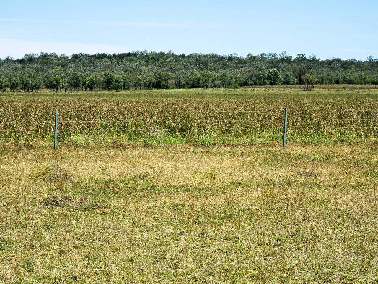 Bauhinia Downs Sold by Farmbuy.com - image 3