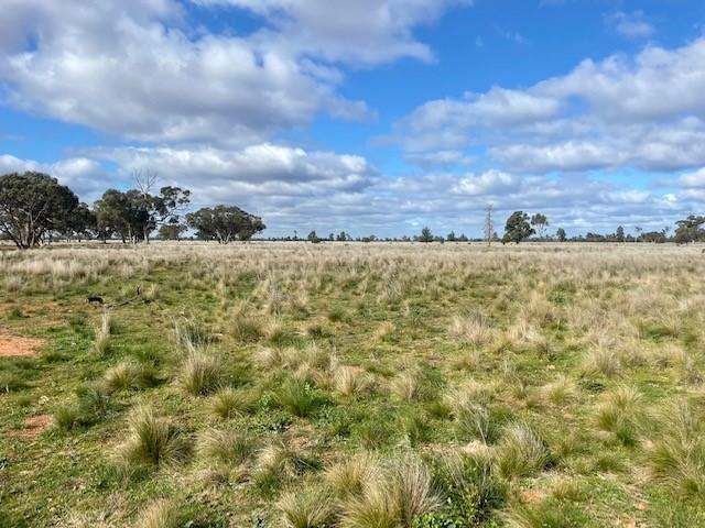 20574 Kidman Way , Mt Hope Auction by Farmbuy.com - image 5