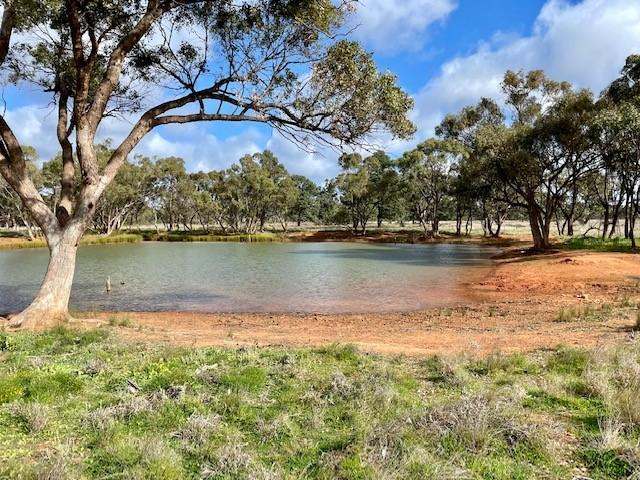 20574 Kidman Way , Mt Hope Auction by Farmbuy.com - image 3