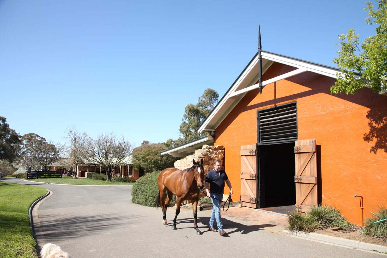 337 Range Road , Goulburn Sold by Farmbuy.com - image 6