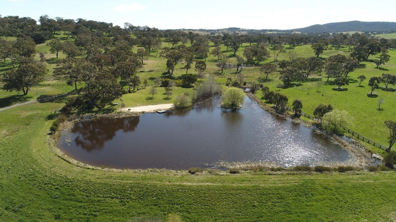 337 Range Road , Goulburn Sold by Farmbuy.com - image 13
