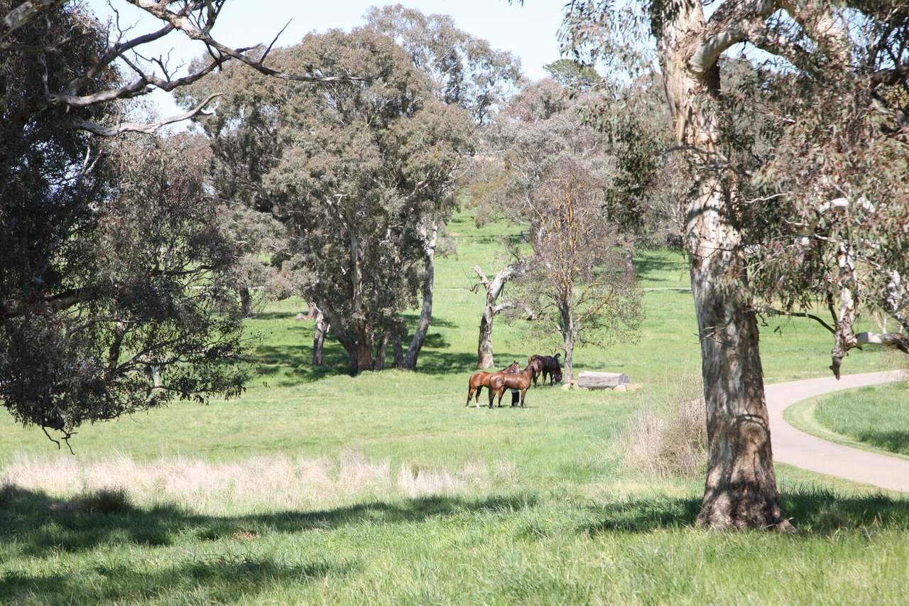 337 Range Road , Goulburn Sold by Farmbuy.com - image 7