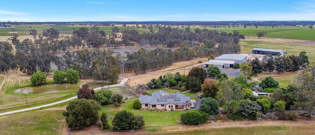 113 Cannon Ball Hill Road, "Cannonball" Mundulla Sold by Farmbuy.com - image 4