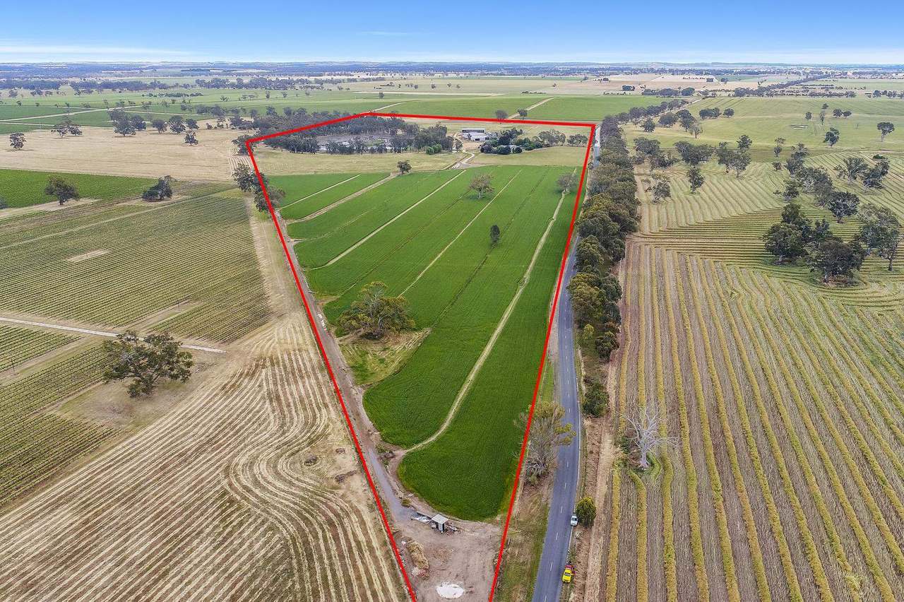 113 Cannon Ball Hill Road, "Cannonball" Mundulla Sold by Farmbuy.com - image 3