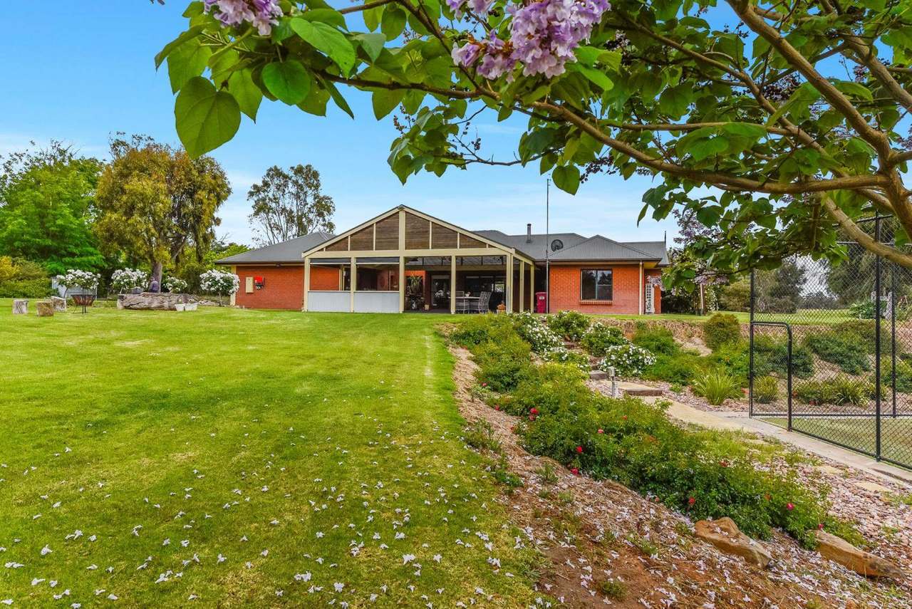 113 Cannon Ball Hill Road, "Cannonball" Mundulla Sold by Farmbuy.com - image 35