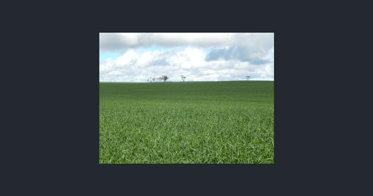 1116 Buckelboo Road, Kimba For Sale by Farmbuy.com - image 16