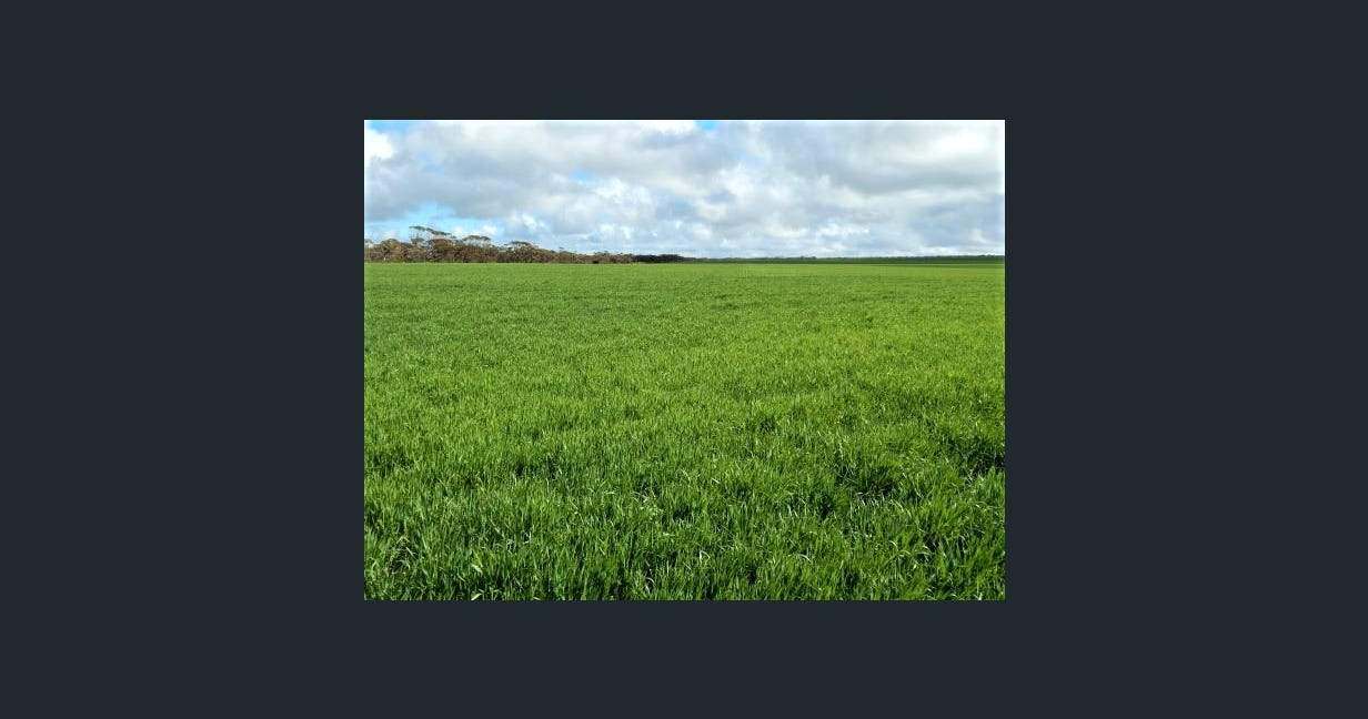 1116 Buckelboo Road, Kimba For Sale by Farmbuy.com - image 3