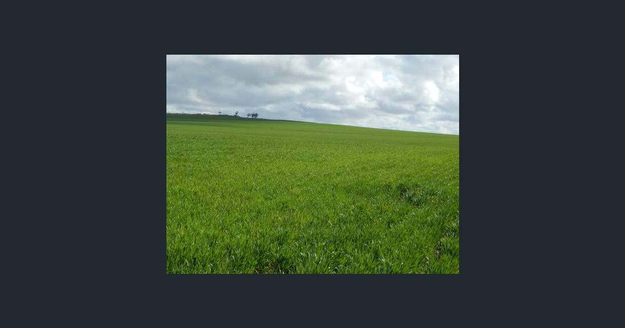 1116 Buckelboo Road, Kimba For Sale by Farmbuy.com - image 5