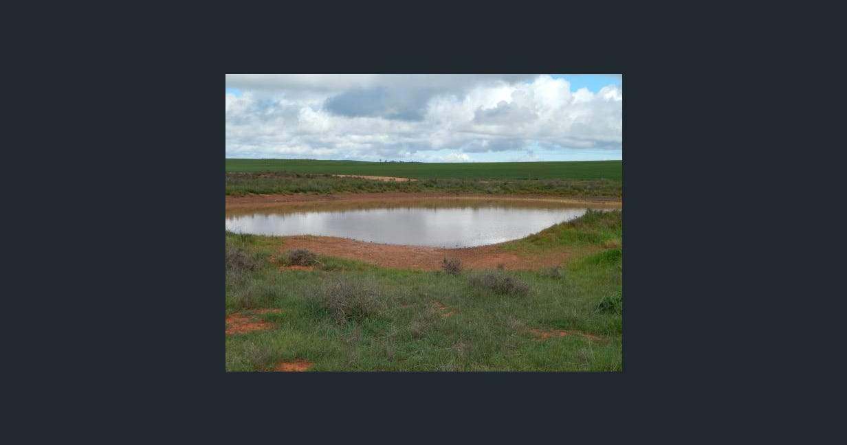 1116 Buckelboo Road, Kimba For Sale by Farmbuy.com - image 12