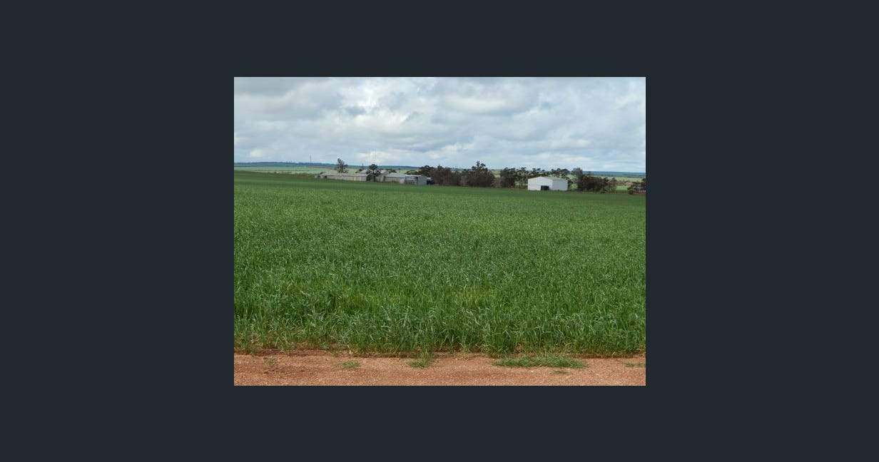 1116 Buckelboo Road, Kimba For Sale by Farmbuy.com - image 13