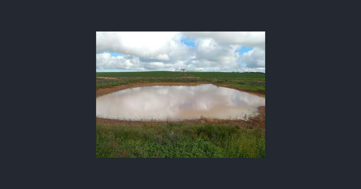 1116 Buckelboo Road, Kimba For Sale by Farmbuy.com - image 4