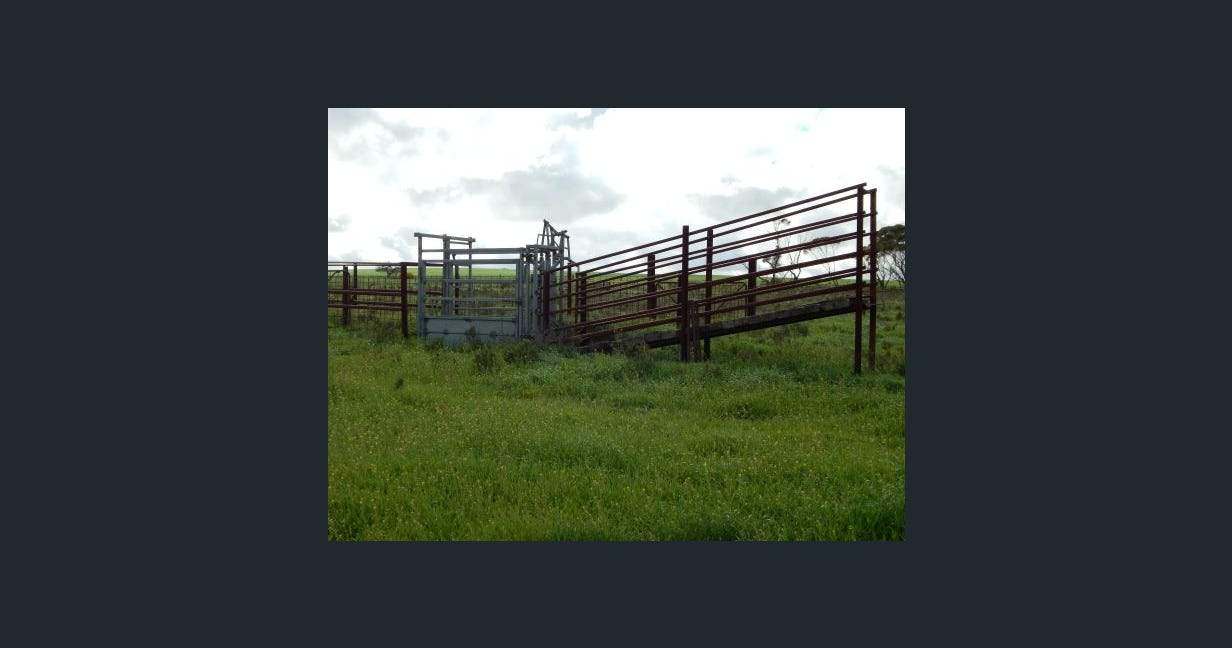 1116 Buckelboo Road, Kimba For Sale by Farmbuy.com - image 9