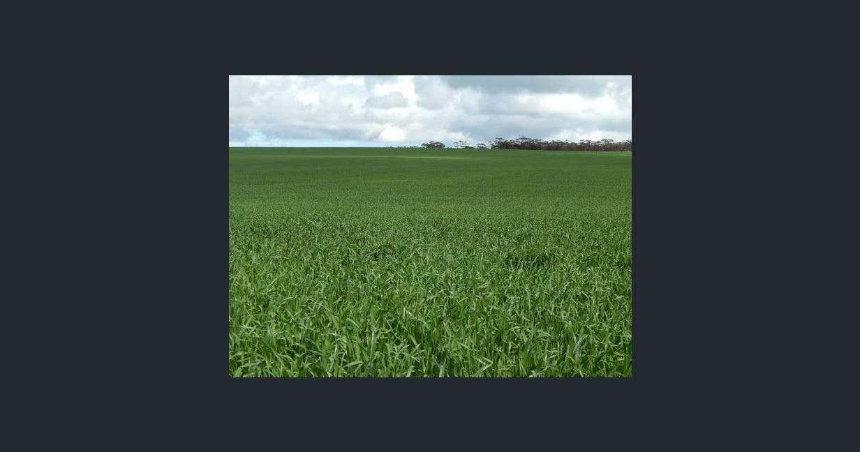 1116 Buckelboo Road, Kimba For Sale by Farmbuy.com - image 15