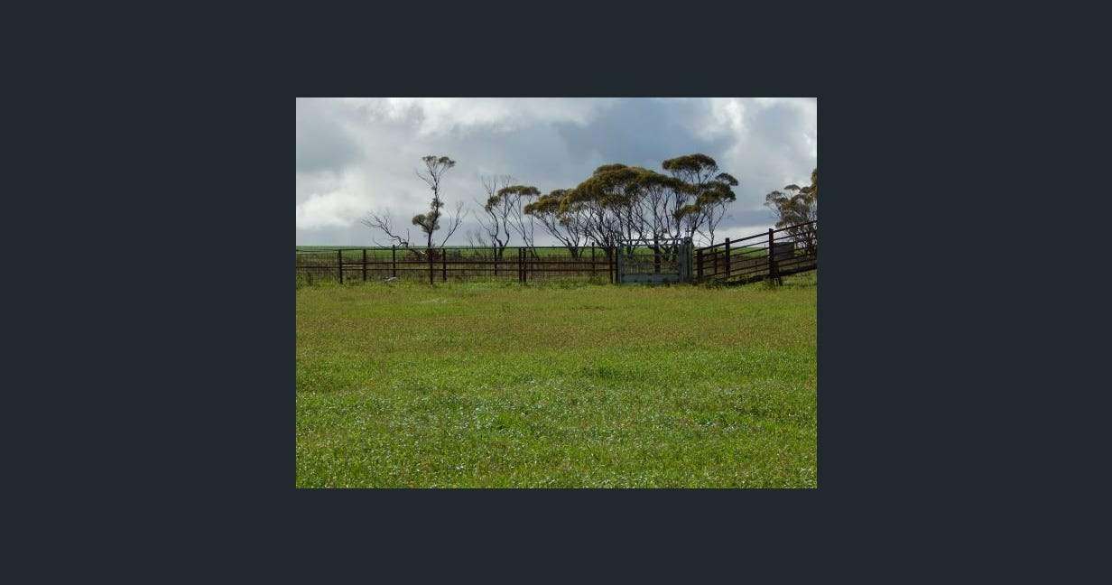 1116 Buckelboo Road, Kimba For Sale by Farmbuy.com - image 7