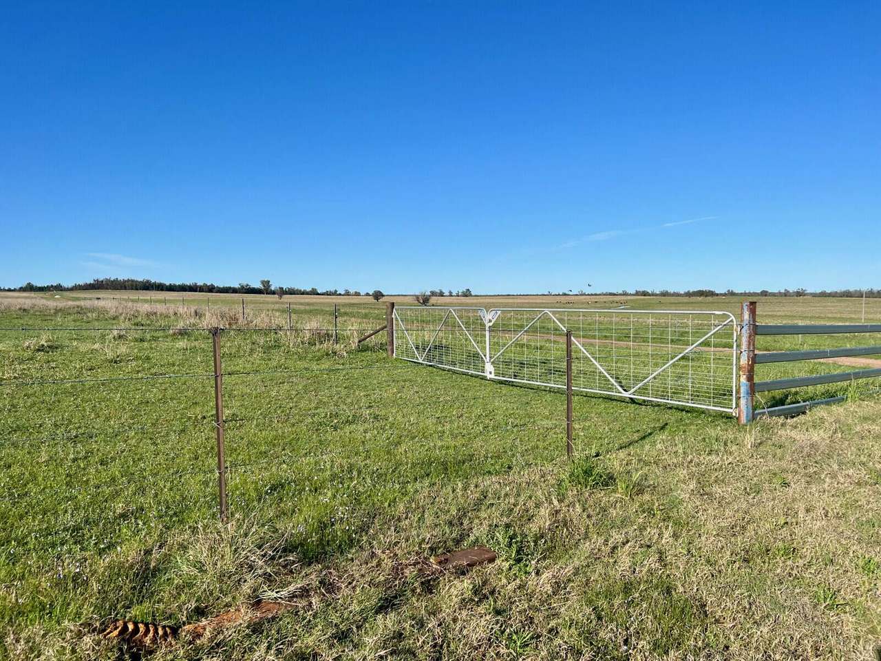 Mellburra Road, Narrabri Sold by Farmbuy.com - image 11