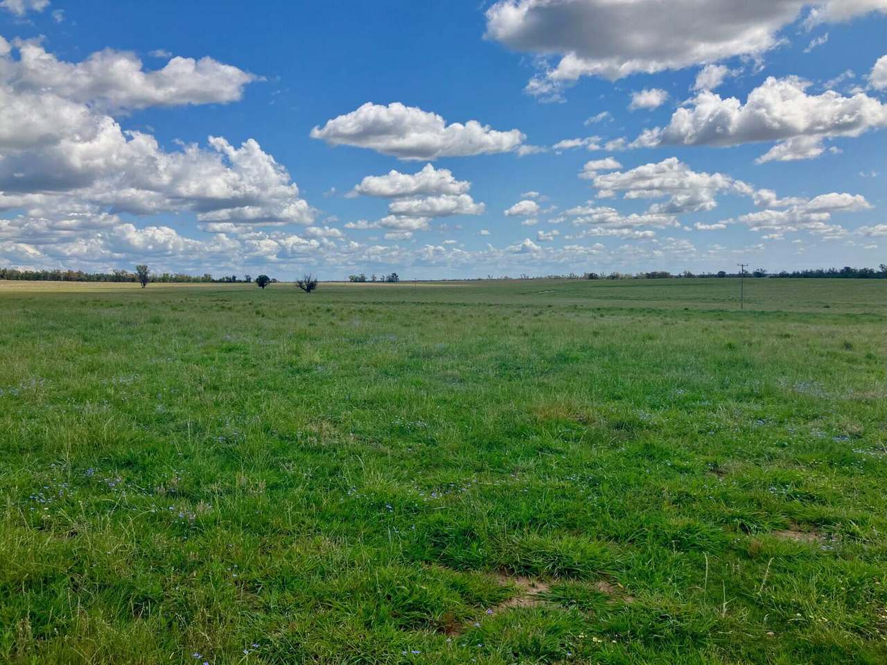 Mellburra Road, Narrabri Sold by Farmbuy.com - image 21