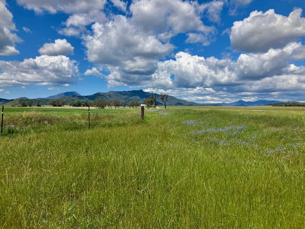 Mellburra Road, Narrabri Sold by Farmbuy.com - image 22
