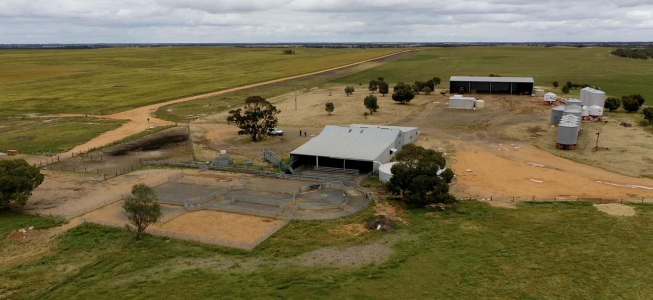 1810 North Serviceton - Telopea Downs Road, Kaniva-Bordertown Districts Sold by Farmbuy.com - image 8