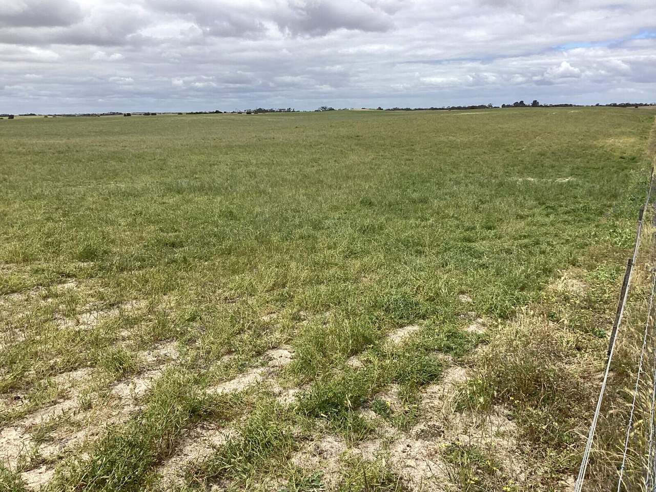 1810 North Serviceton - Telopea Downs Road, Kaniva-Bordertown Districts Sold by Farmbuy.com - image 2