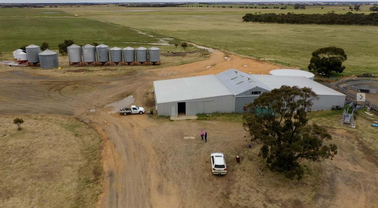 1810 North Serviceton - Telopea Downs Road, Kaniva-Bordertown Districts Sold by Farmbuy.com - image 5