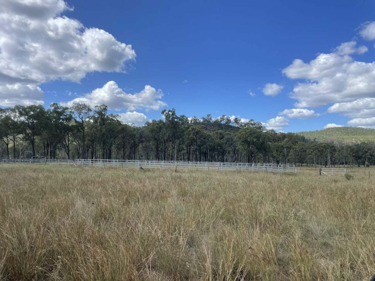 Eidsvold - Cracow Road, Eidsvold For Sale by Farmbuy.com - image 3