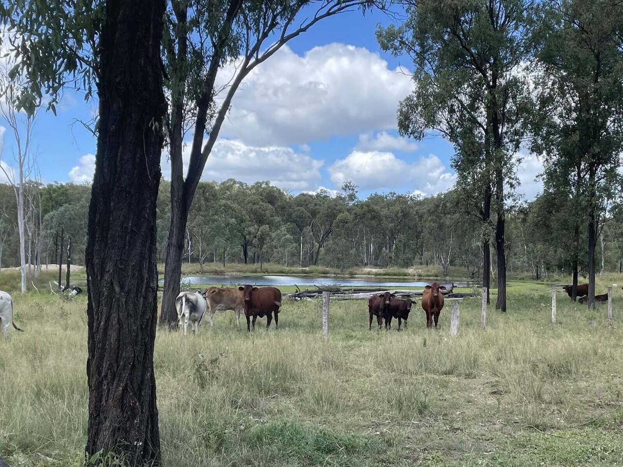 Eidsvold - Cracow Road, Eidsvold For Sale by Farmbuy.com - image 4