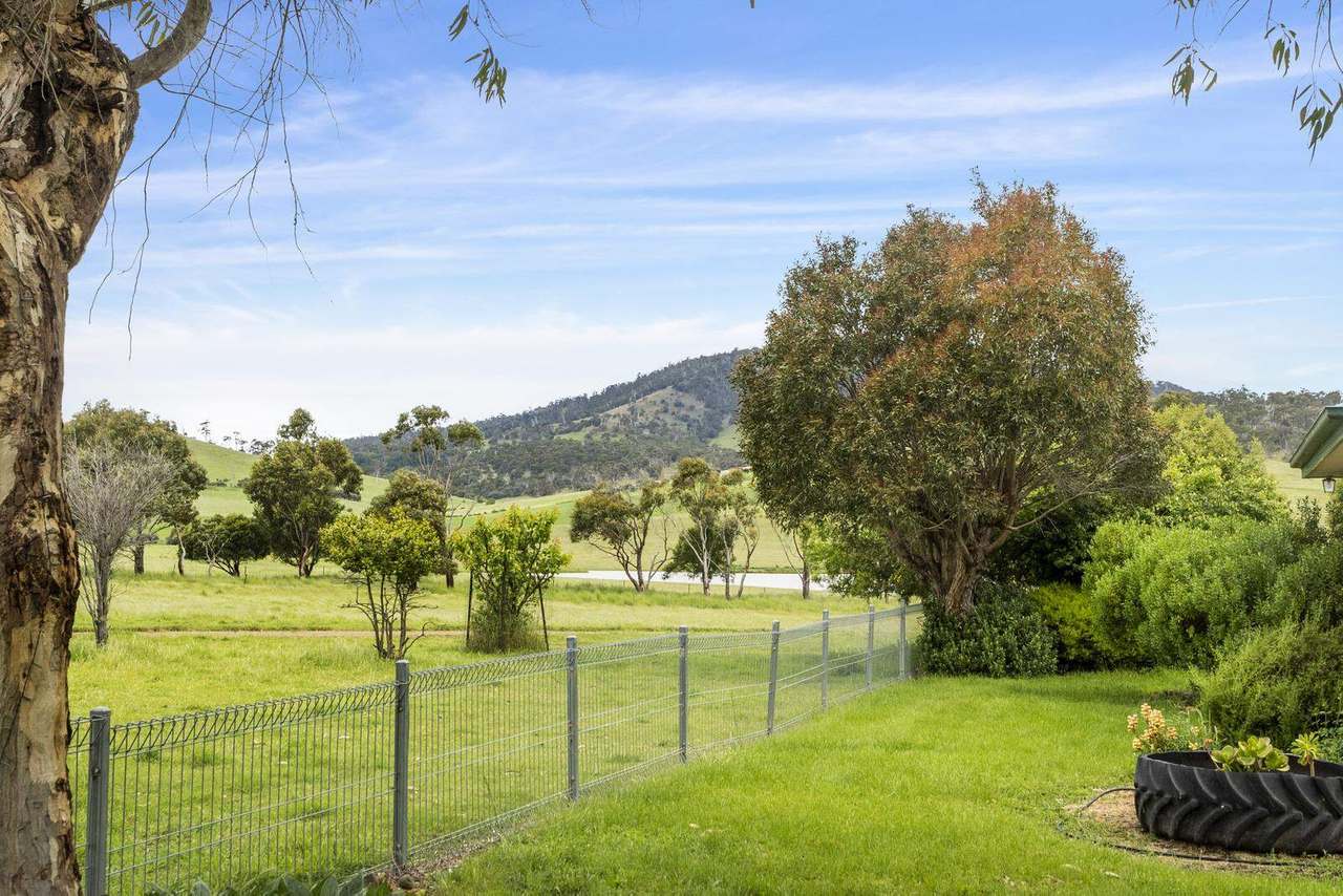 845 Back Tea Tree Road, Tea Tree Sold by Farmbuy.com - image 13