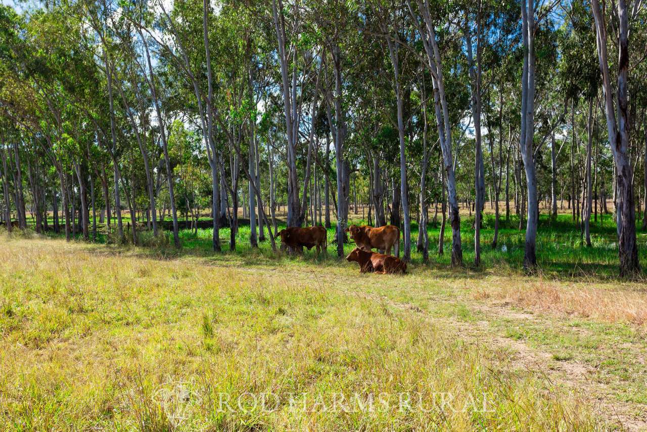 South Yaamba Road, South Yaamba For Sale by Farmbuy.com - image 25
