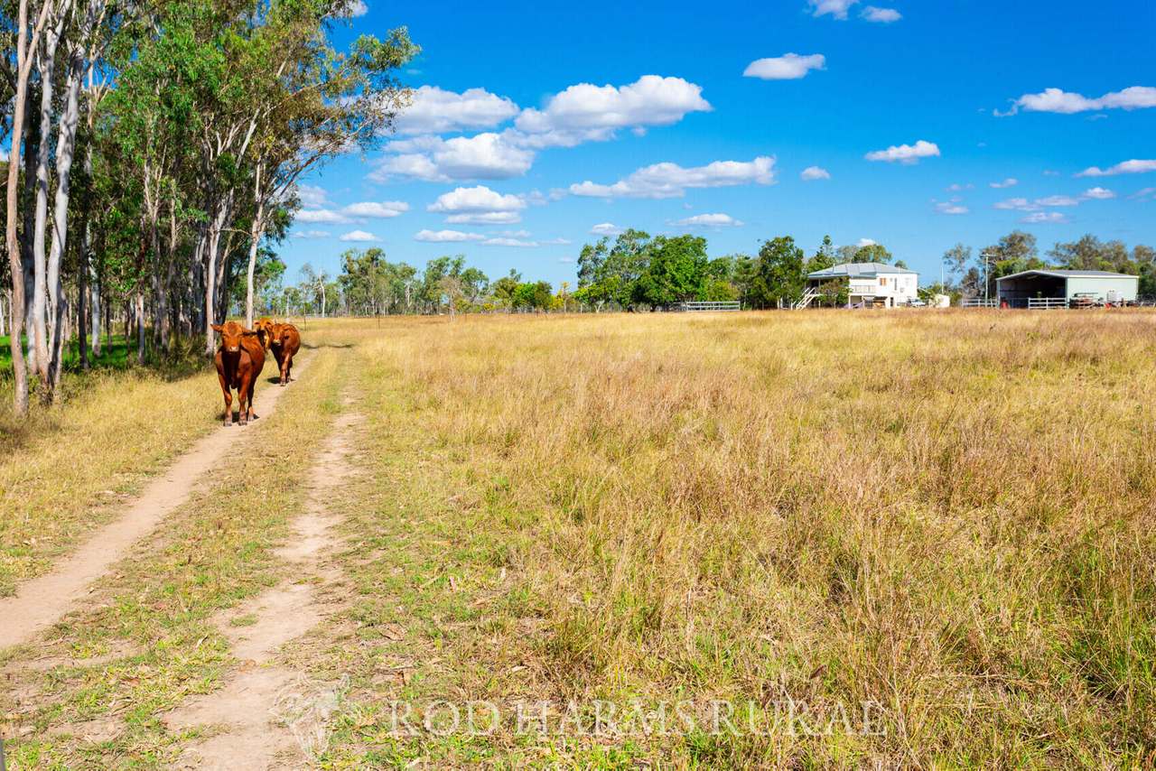 South Yaamba Road, South Yaamba For Sale by Farmbuy.com - image 31