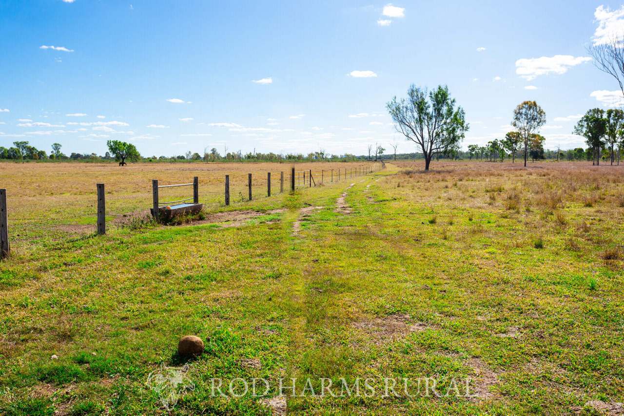 South Yaamba Road, South Yaamba For Sale by Farmbuy.com - image 32