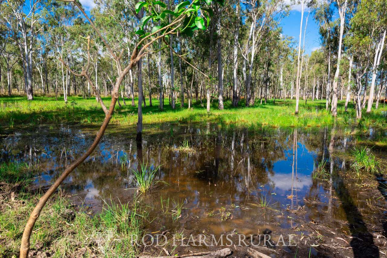 South Yaamba Road, South Yaamba For Sale by Farmbuy.com - image 28