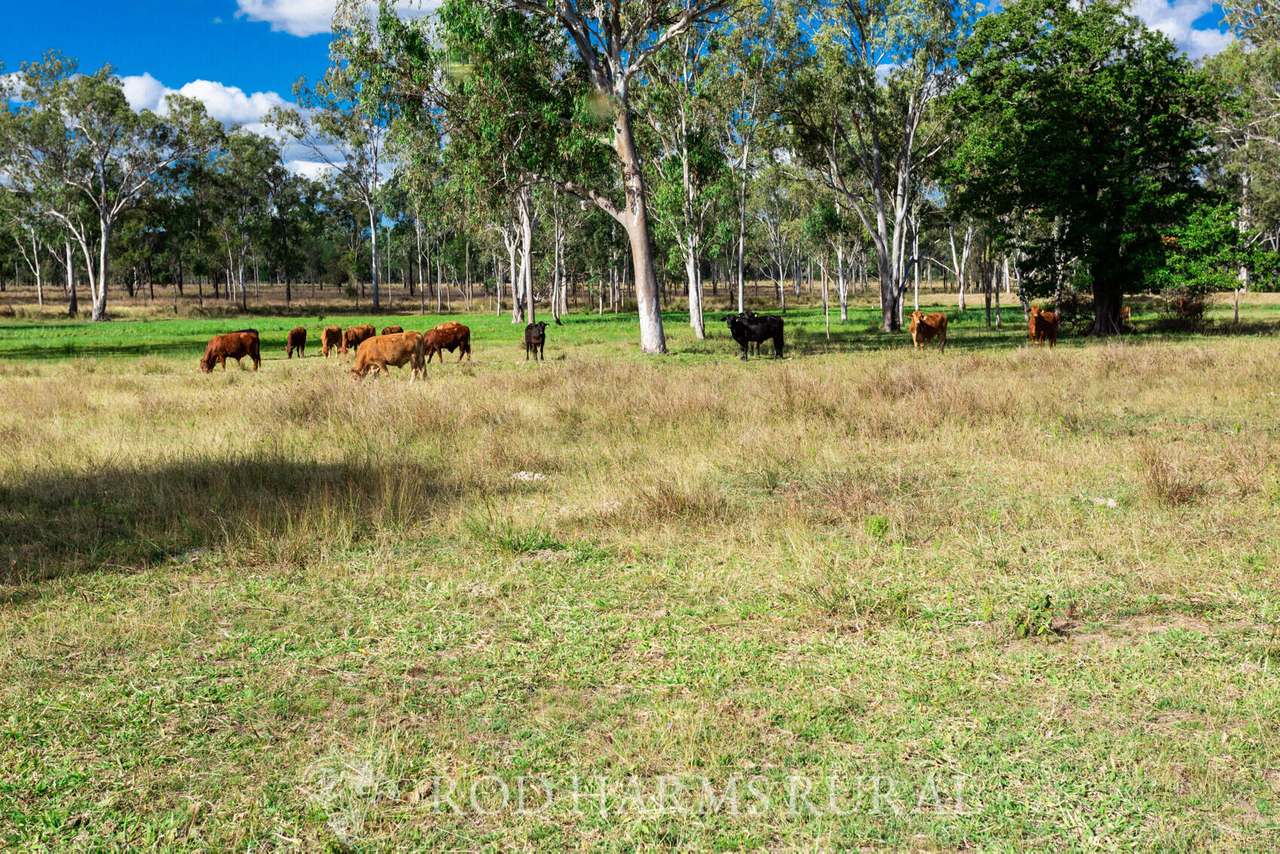South Yaamba Road, South Yaamba For Sale by Farmbuy.com - image 39