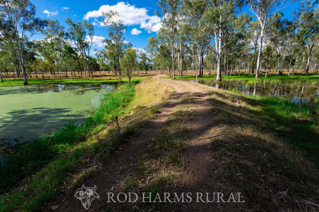 South Yaamba Road, South Yaamba For Sale by Farmbuy.com - image 29